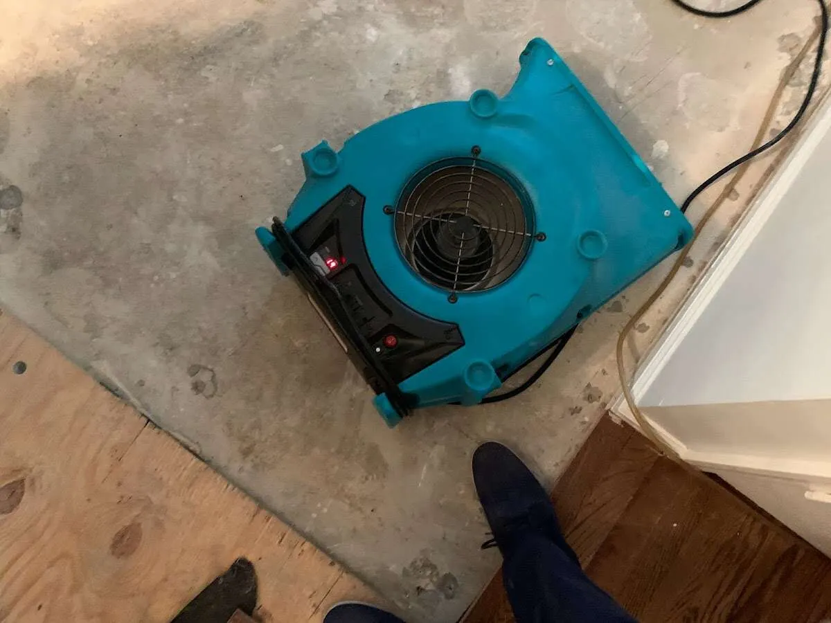 Air mover drying subfloor during Leak Detection & Repair in White Marsh